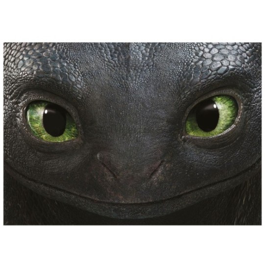 500 How to train your dragon