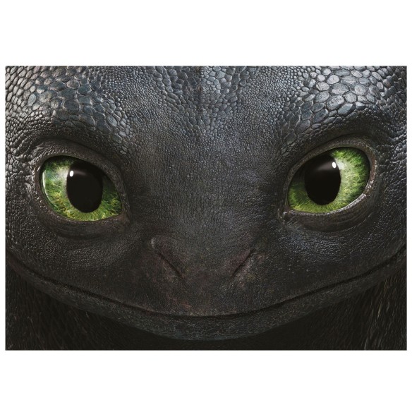 500 How to train your dragon