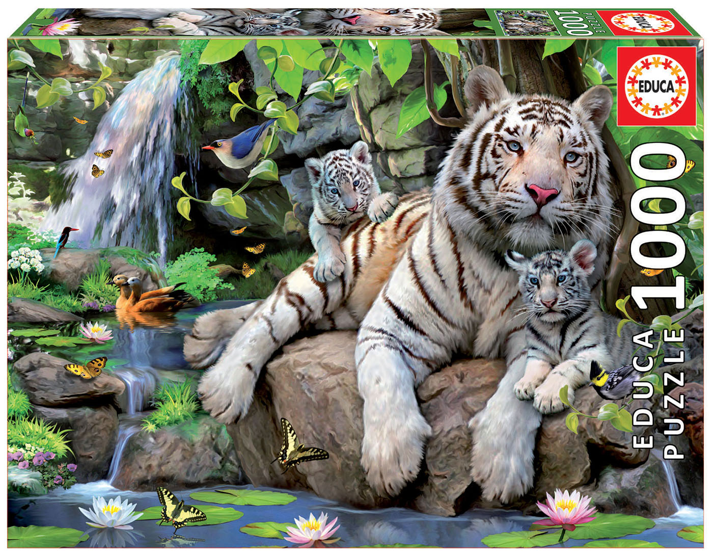 1000 White tigers of bengal