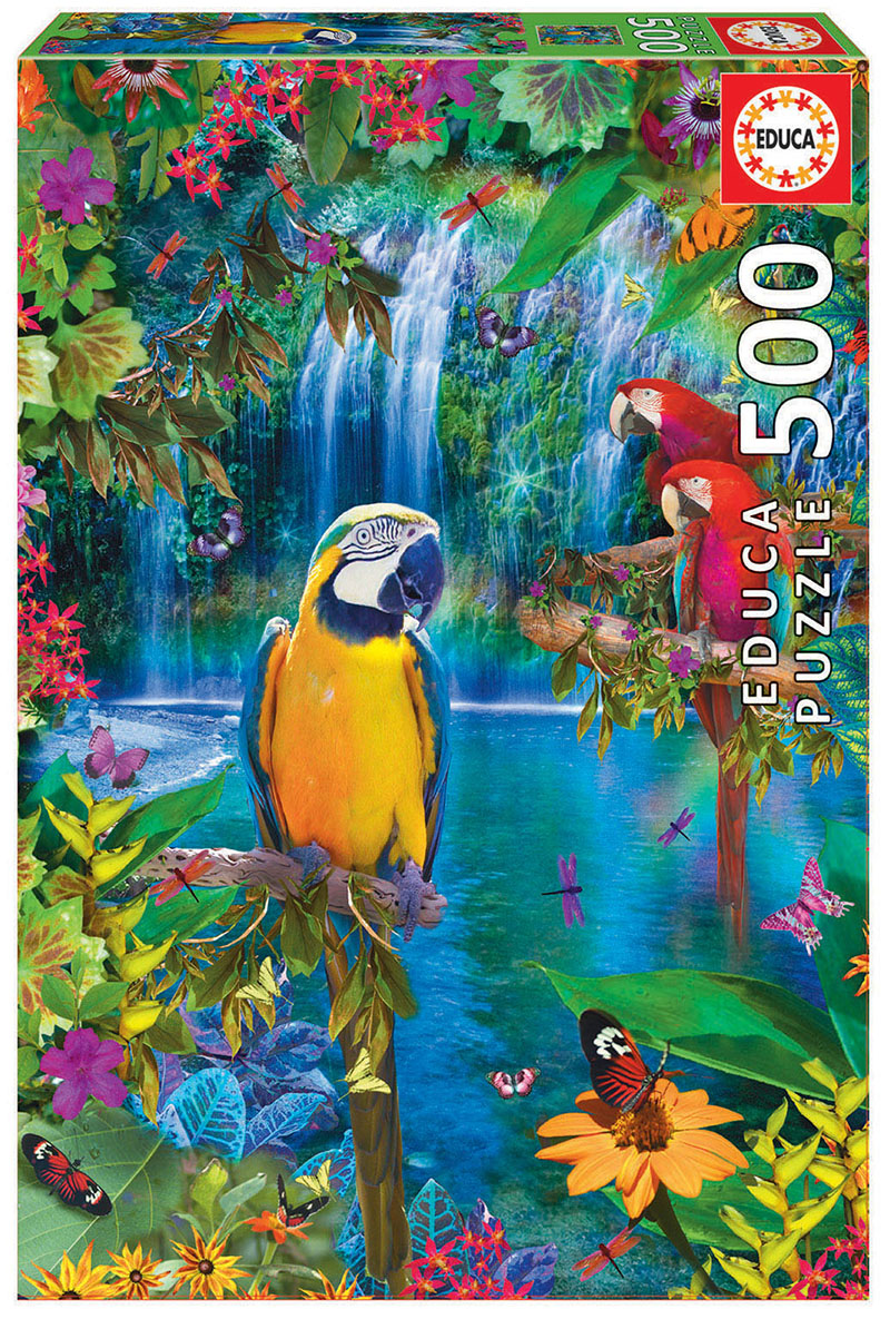 500 Bird tropical land