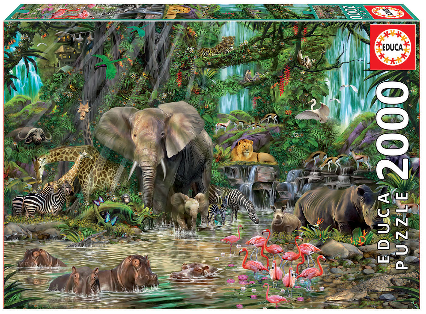 Pouvons-nous coller et encadrer des puzzles en bois - Jigsaw Jungle