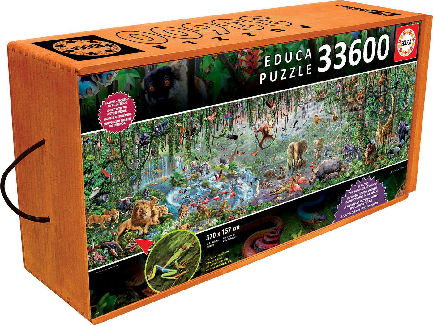 33600 Wild life