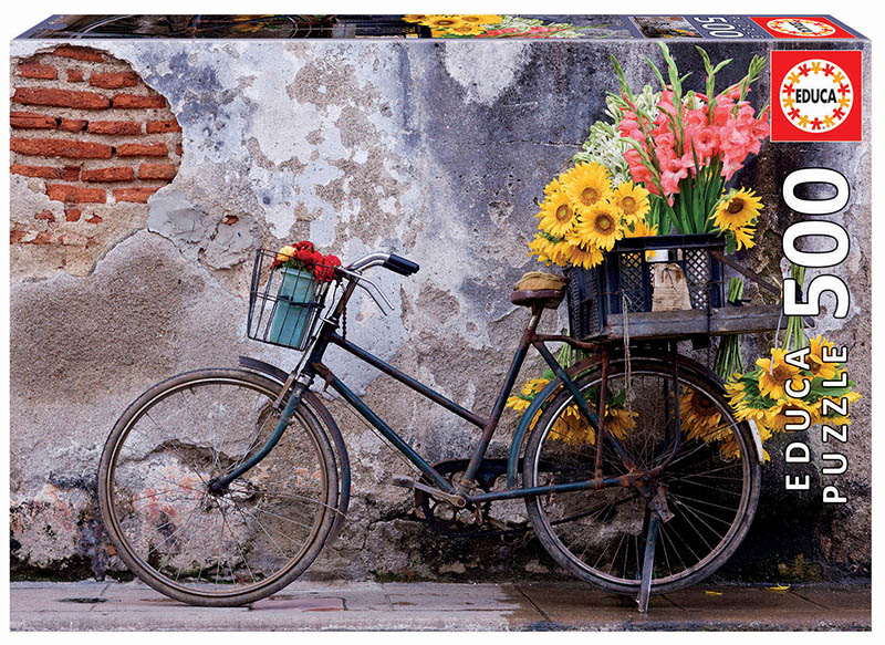 500 Bicicleta com flores