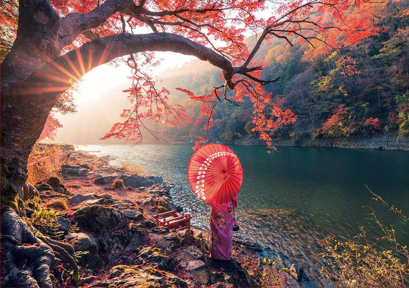 1000 Lever de soleil sur le fleuve Katsura, Japon