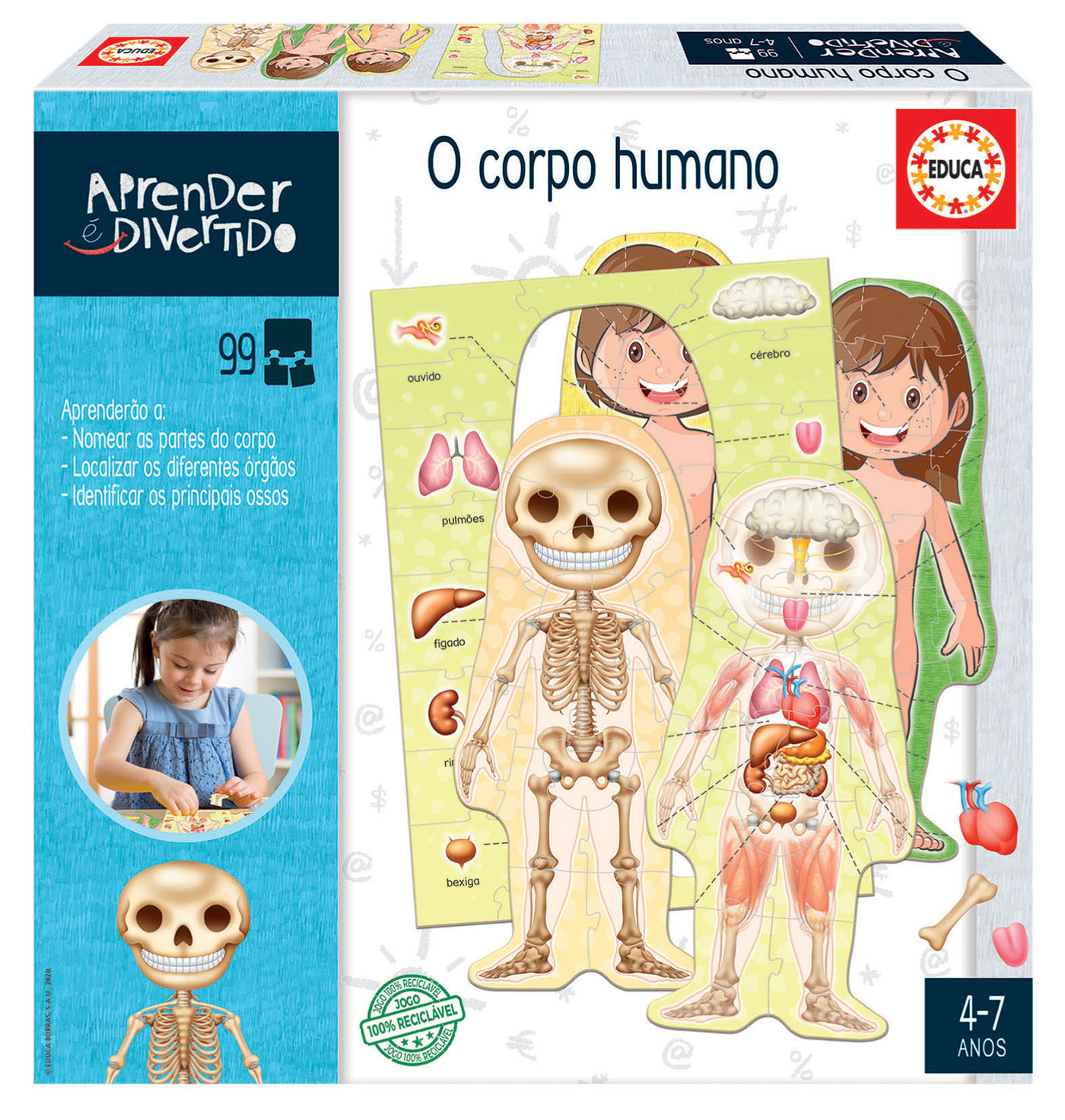 JOGO DE PERGUNTAS E RESPOSTAS - CORPO HUMANO