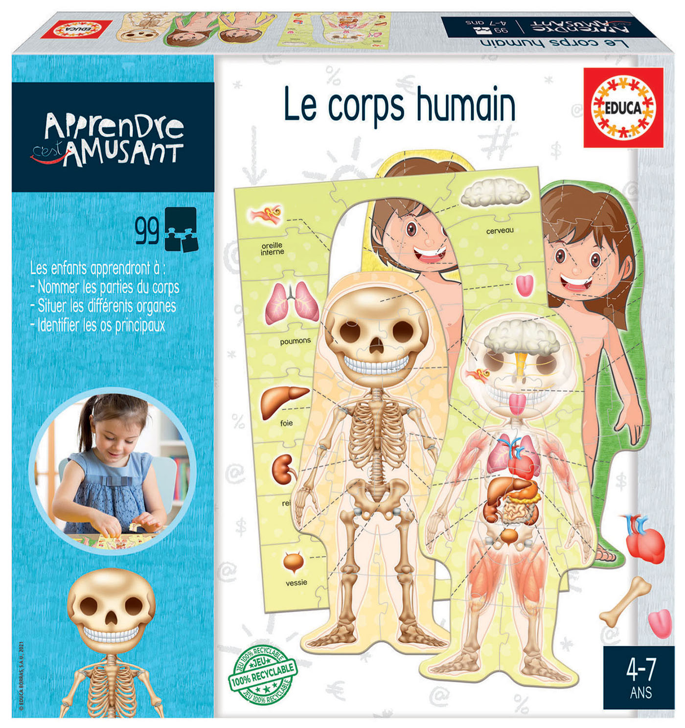 Puzzle éducatif Le Corps Humain