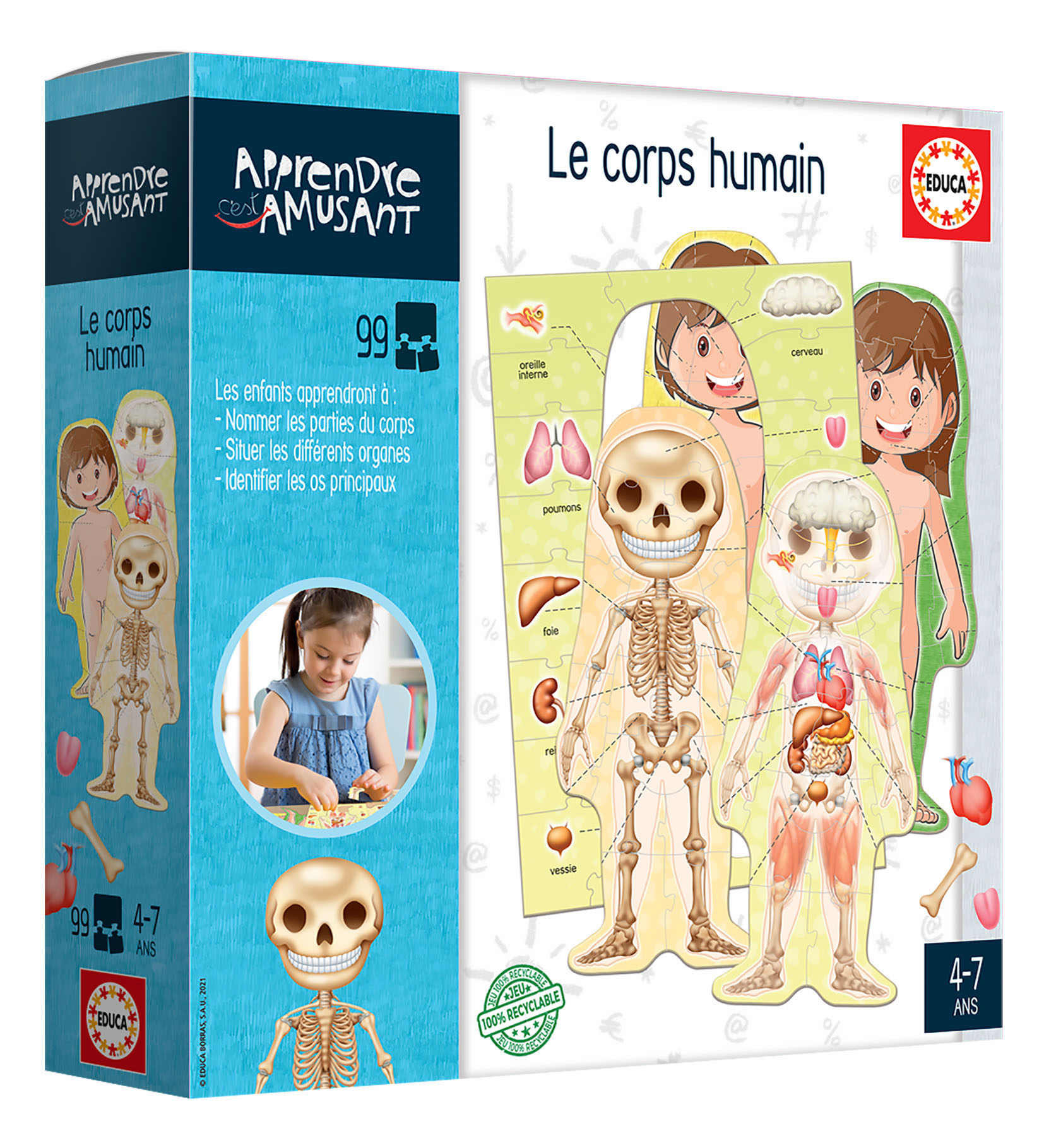 Puzzle corps humain, fille