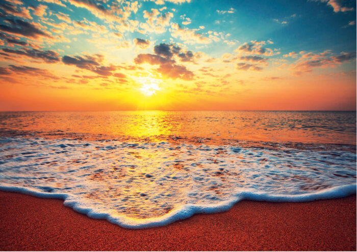 1000 Sunset
