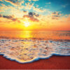 1000 Sunset