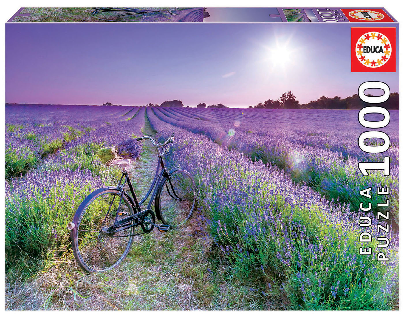 1000 Vélo Dans Un Champ de Lavande