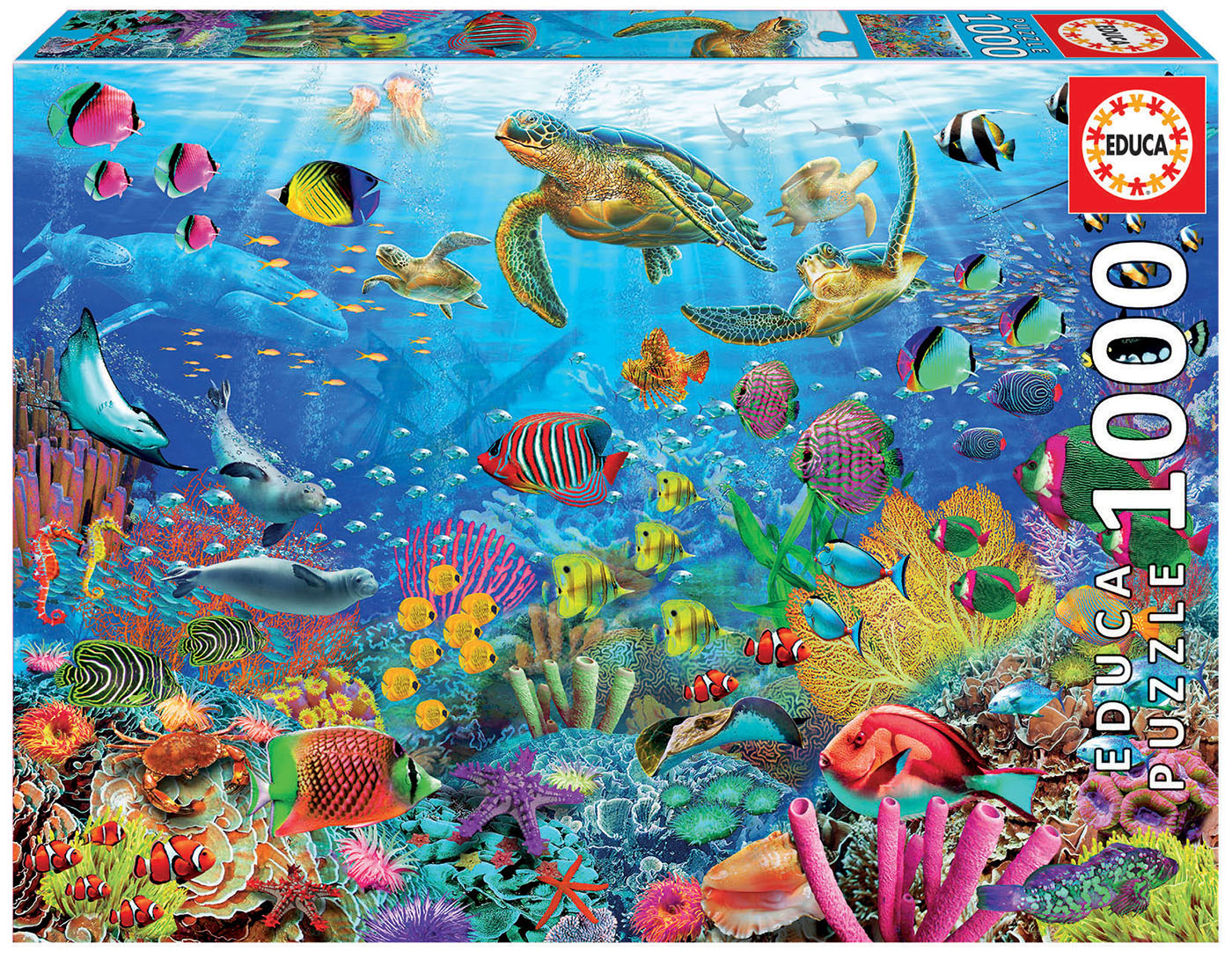 1000 Tropical Fantasy Turtles