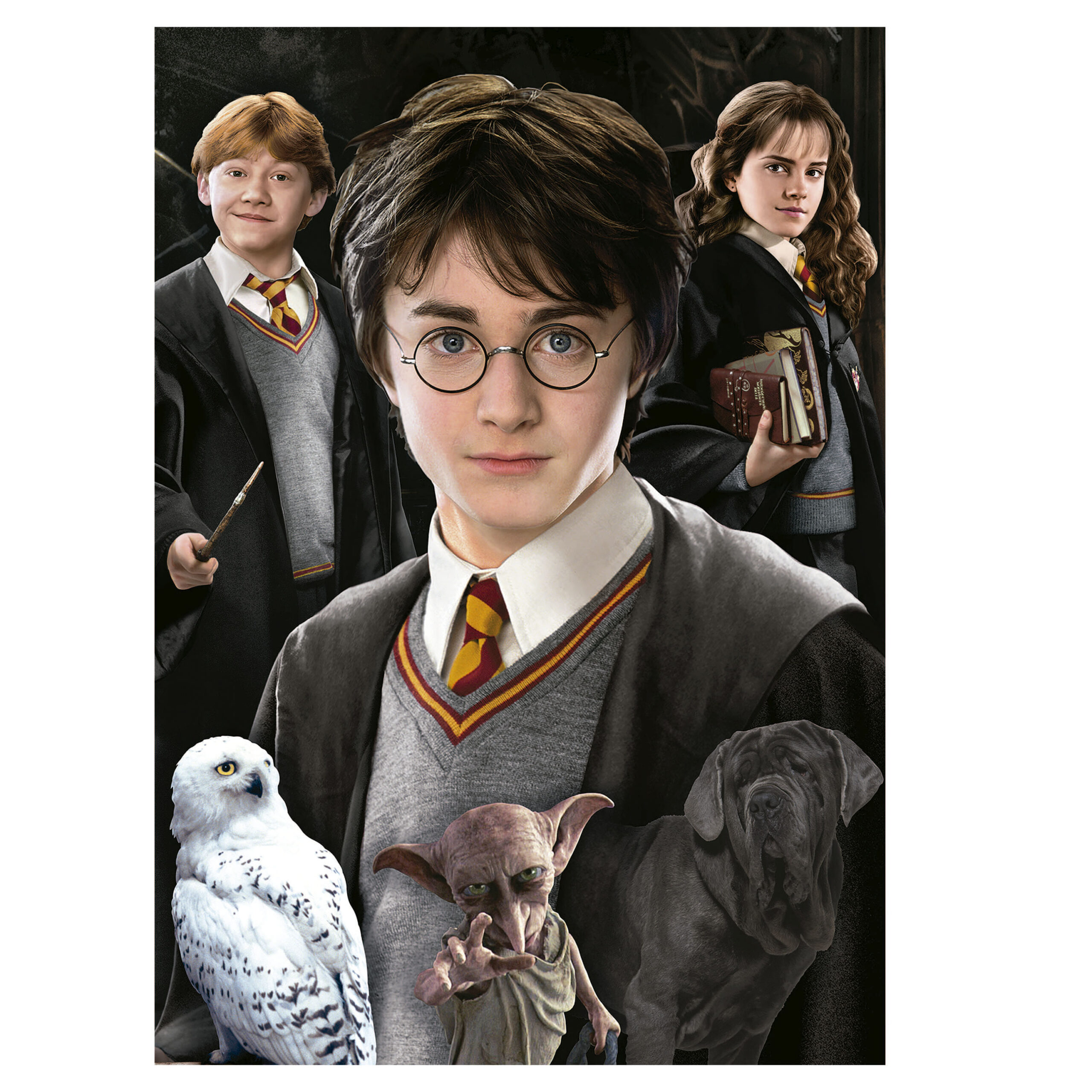 1000 Harry Potter Miniature - Borras