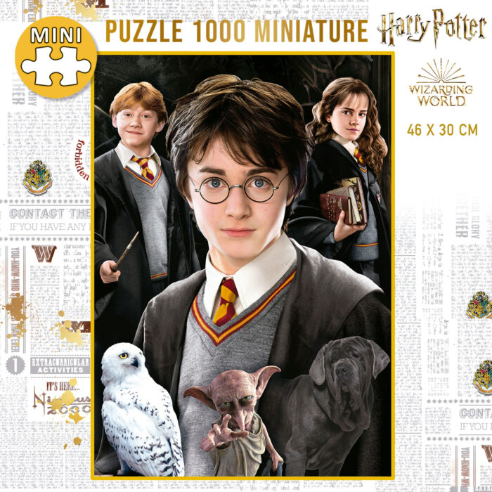 1000 Harry Potter Miniature