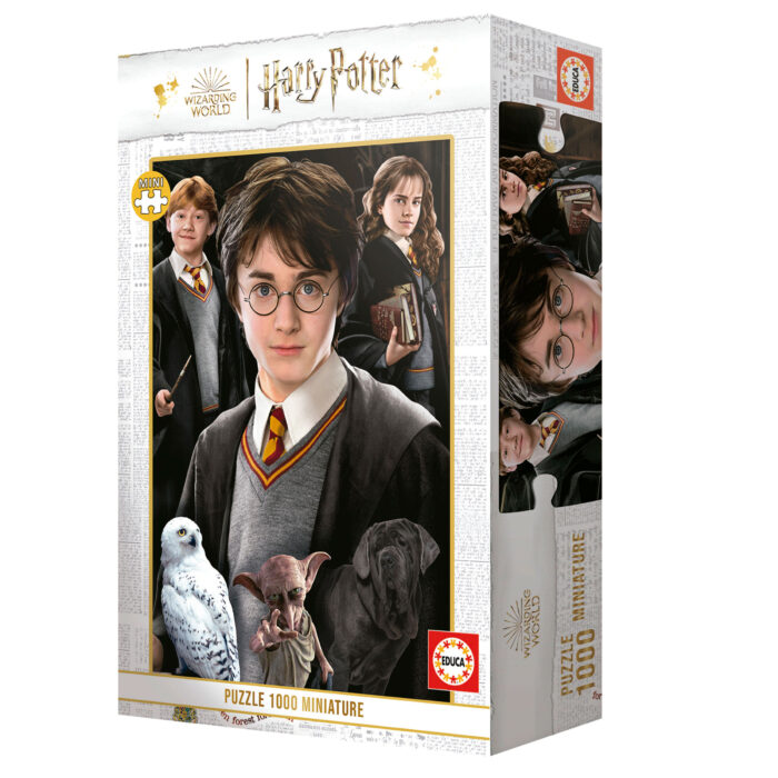 1000 Harry Potter Miniature