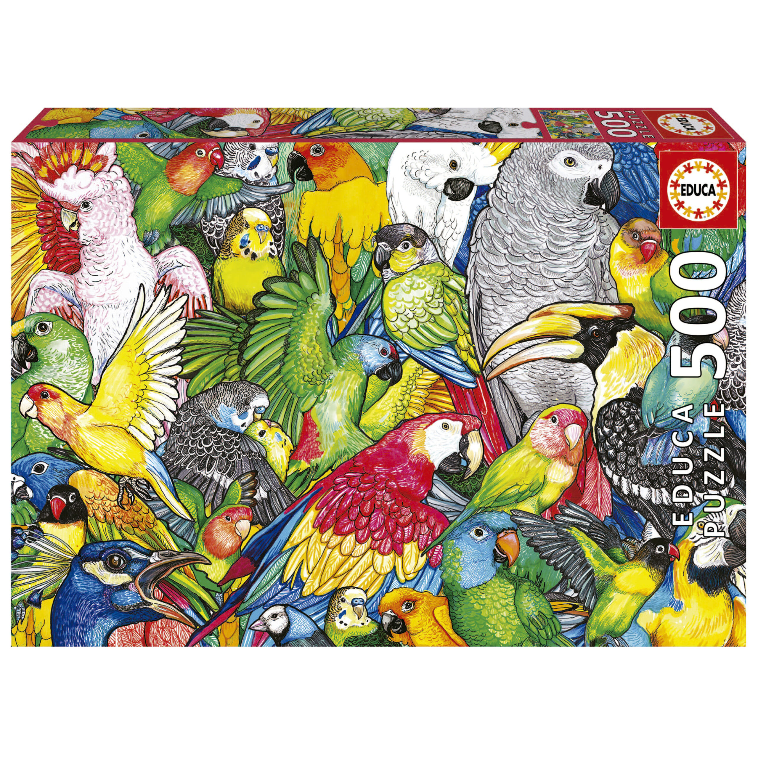 500 Parrots