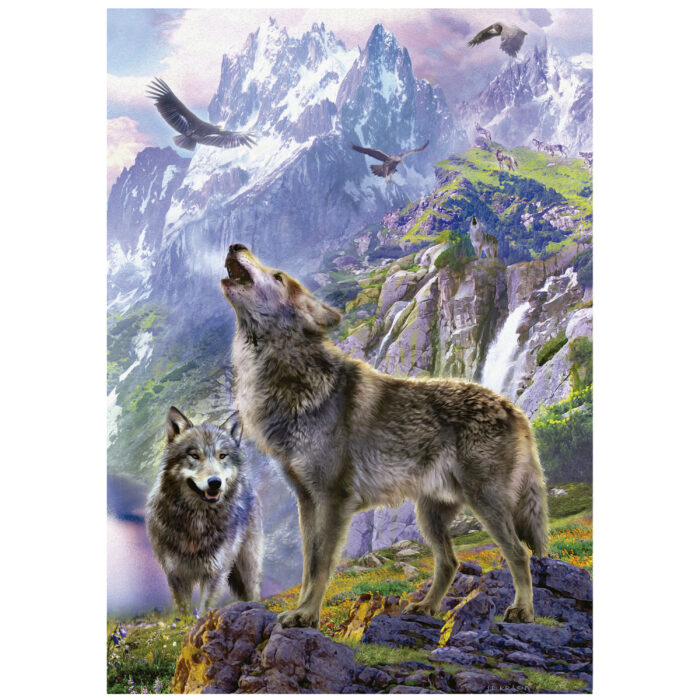500 Wolves In The Rocks