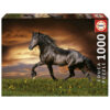1000 Cavalo A Galope