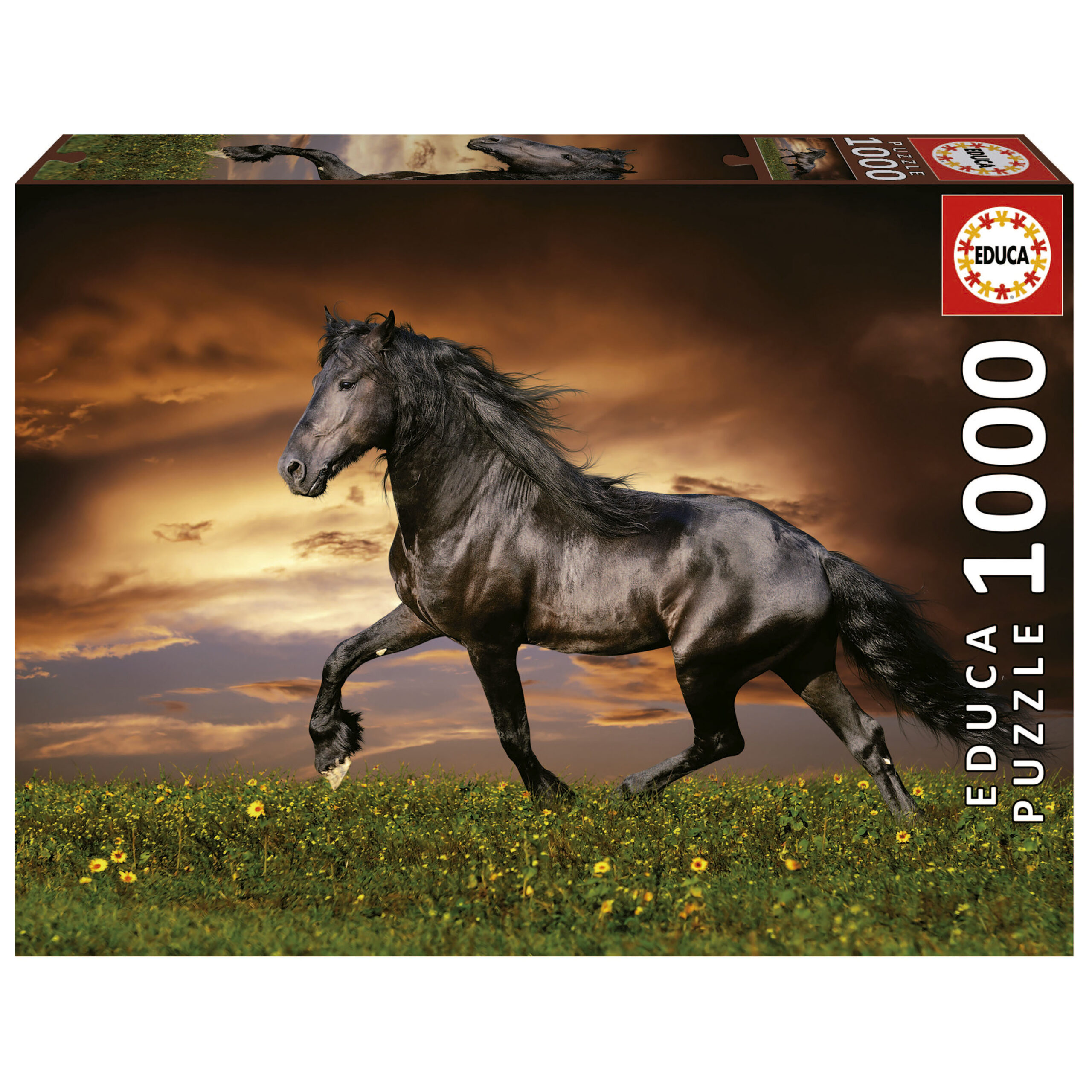 1000 Trotting Horse