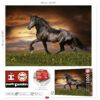 1000 Cavalo A Galope