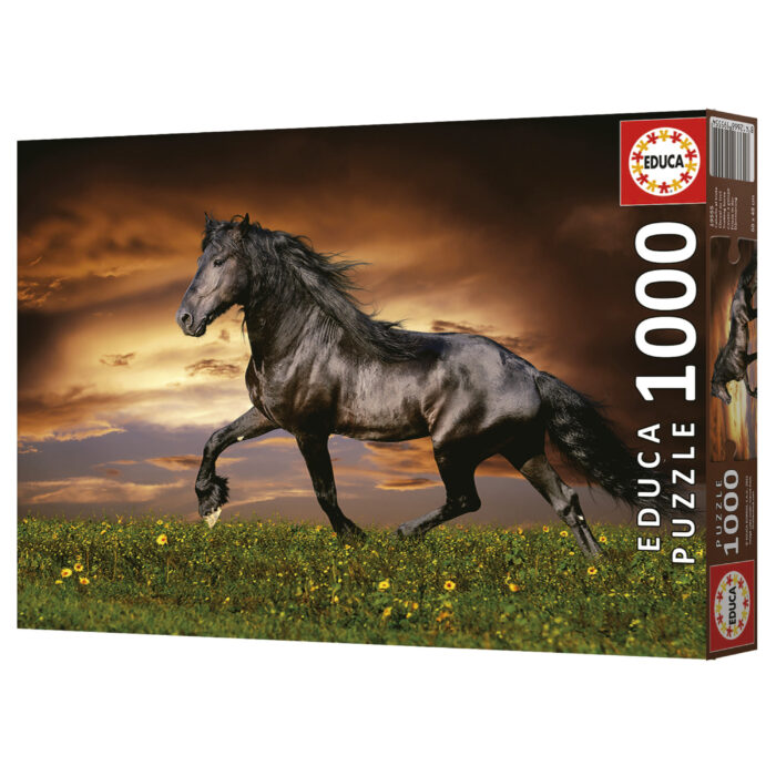 1000 Cavalo A Galope