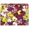1000 Collage d'Orquídies