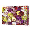 1000 Collage d'Orquídies