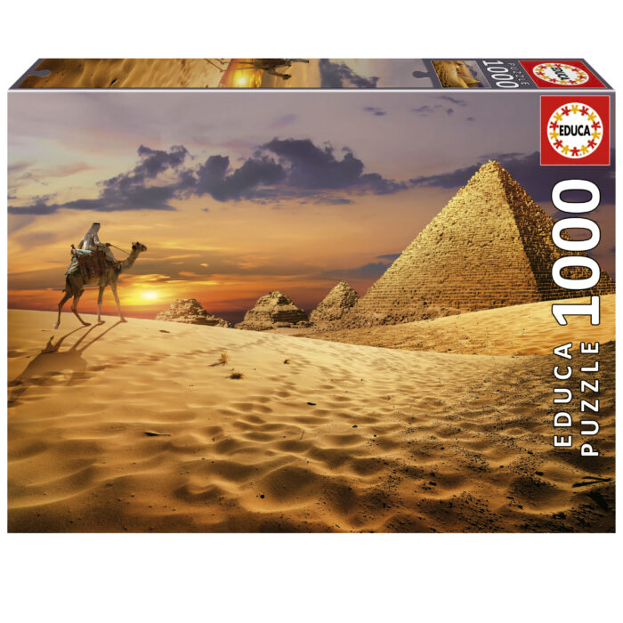 1000 Camelo No Deserto