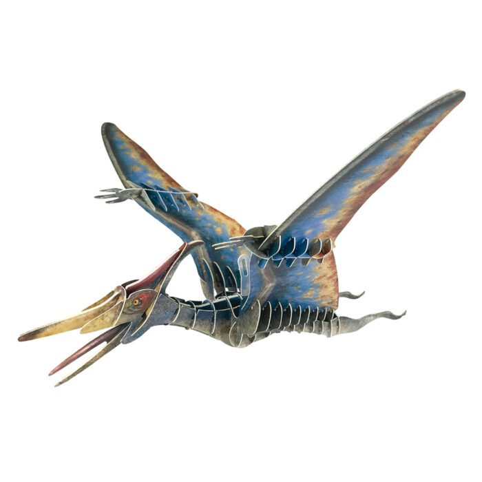 Pteranodon 3D Creature Puzzle