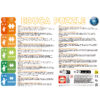 Puzzles Progressivos Petit Ours Brun 12+16+20+25