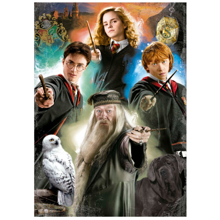 500 Harry Potter