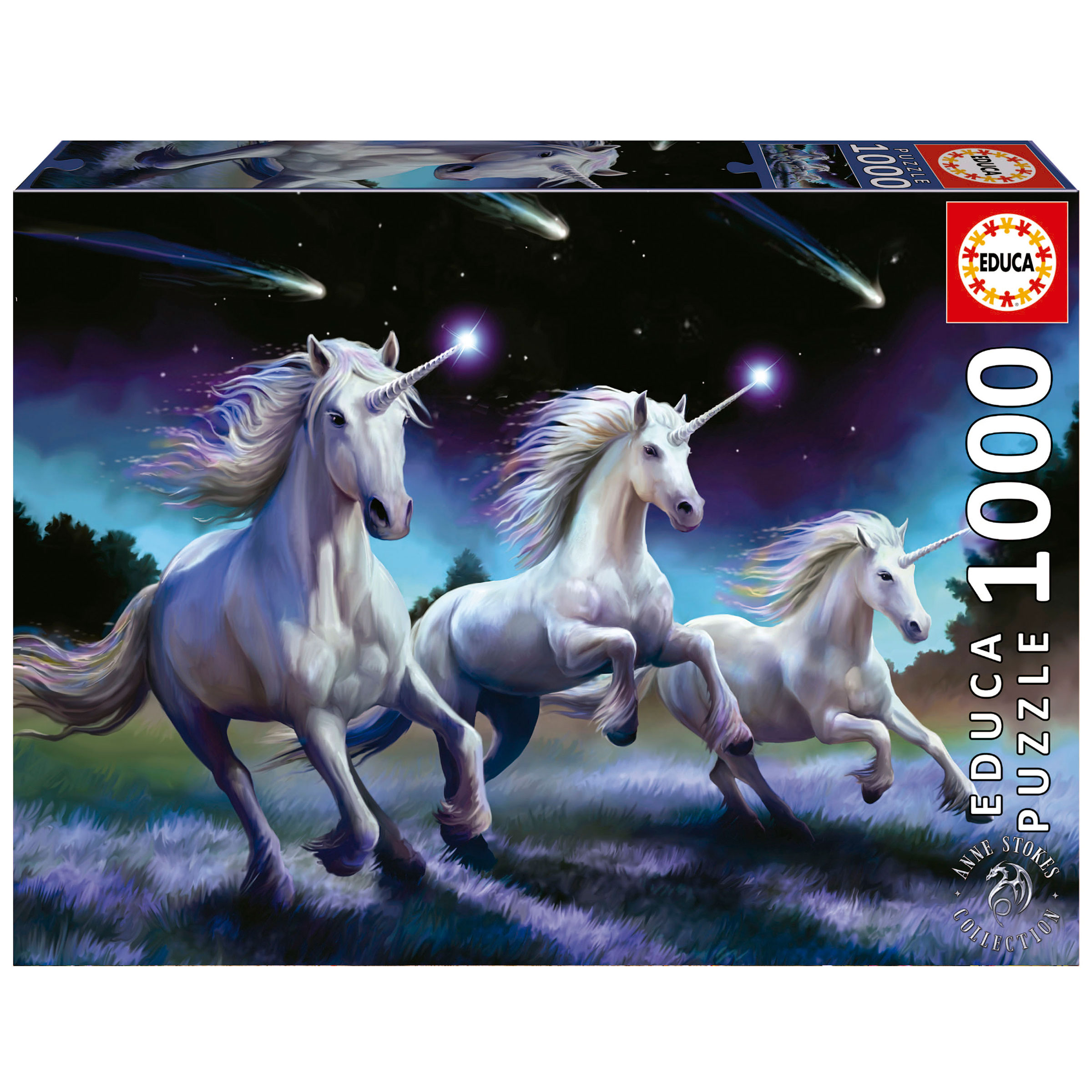 1000 Shooting Stars, Anne Stokes