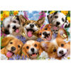 1000 Selfie de perritos
