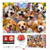 1000 Selfie de perritos