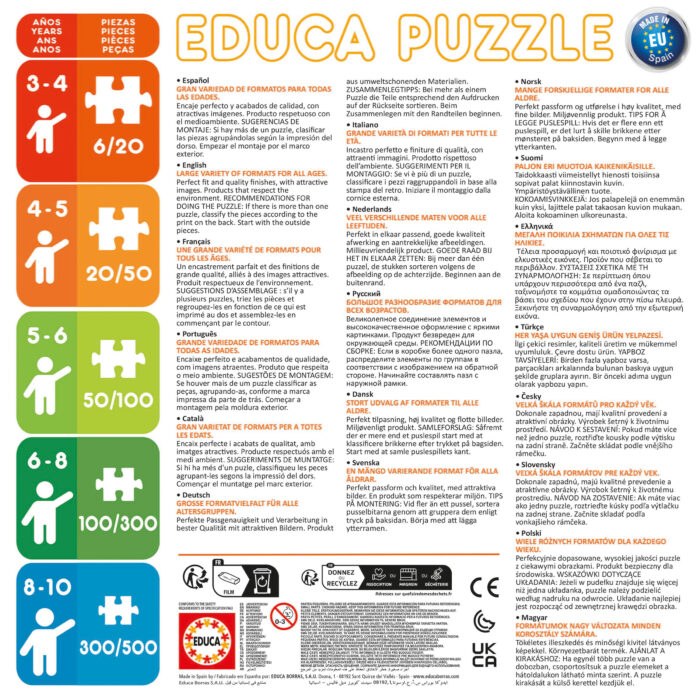 250 Stitch Poster Puzzle