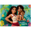 2x48 Vaiana 2