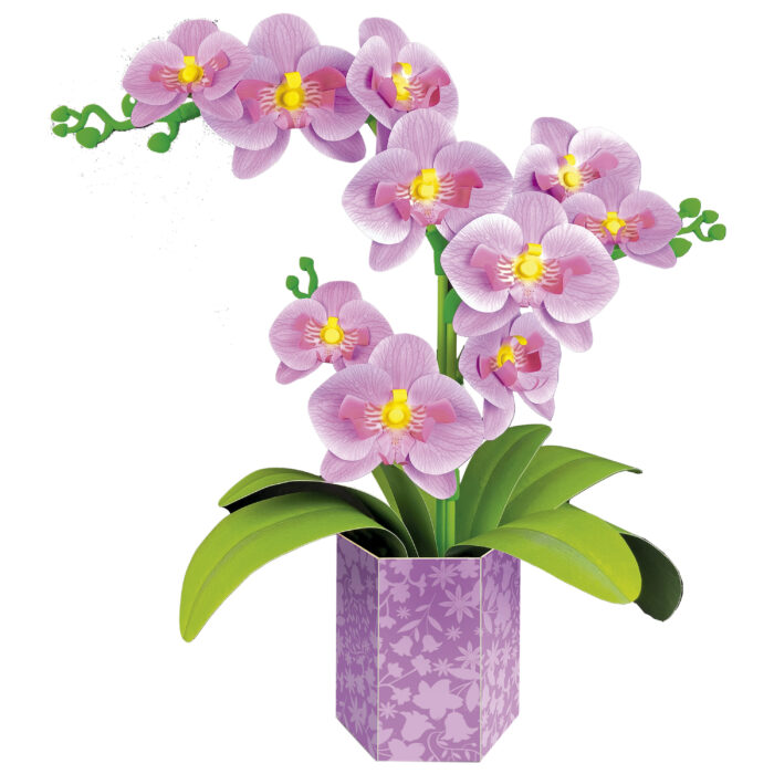 Orquídea Floral Art