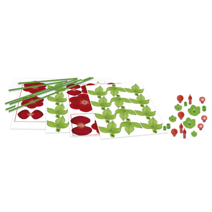 Ramo Rosas Floral Art