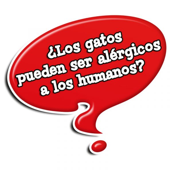 Verdad o mentira - Educa Borras