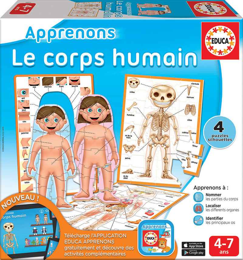 Apprenons – le corps humain