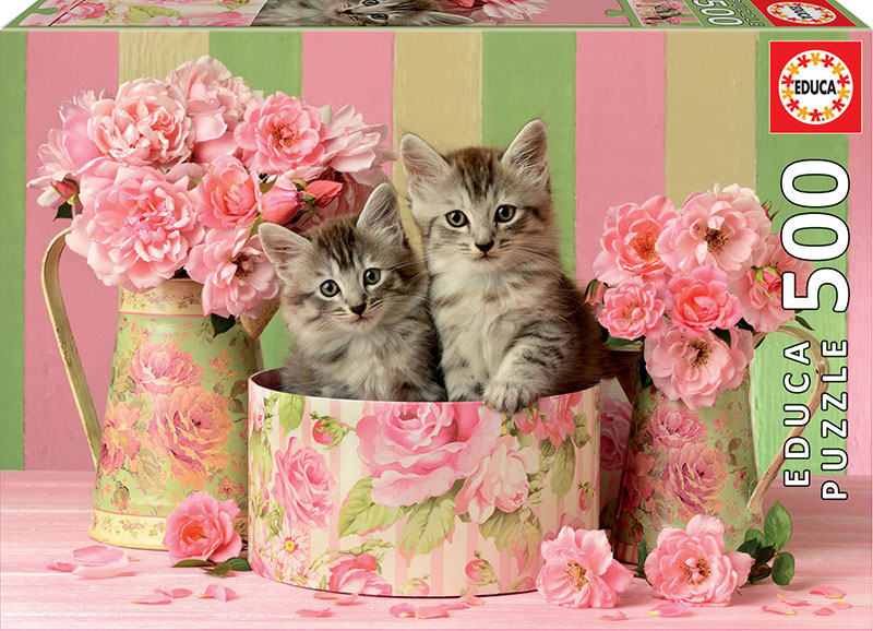 500 Kittens with roses