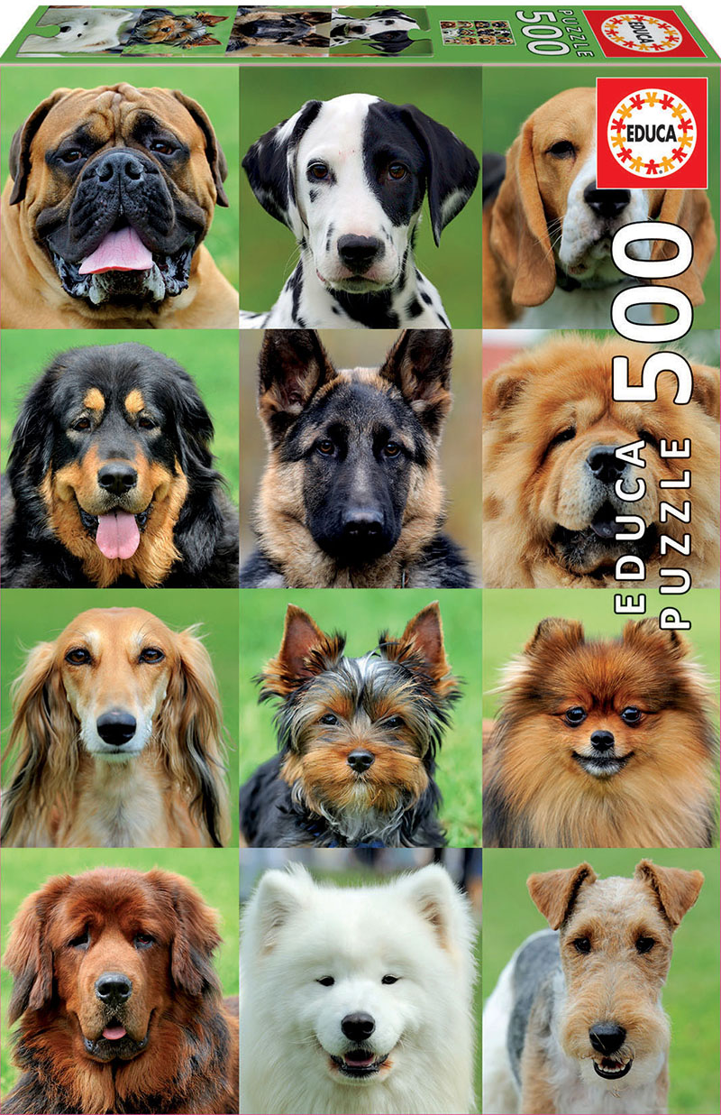 500 Dogs collage