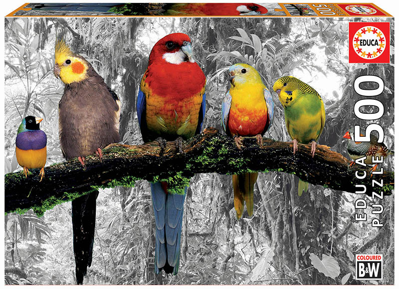 500 Birds on the jungle