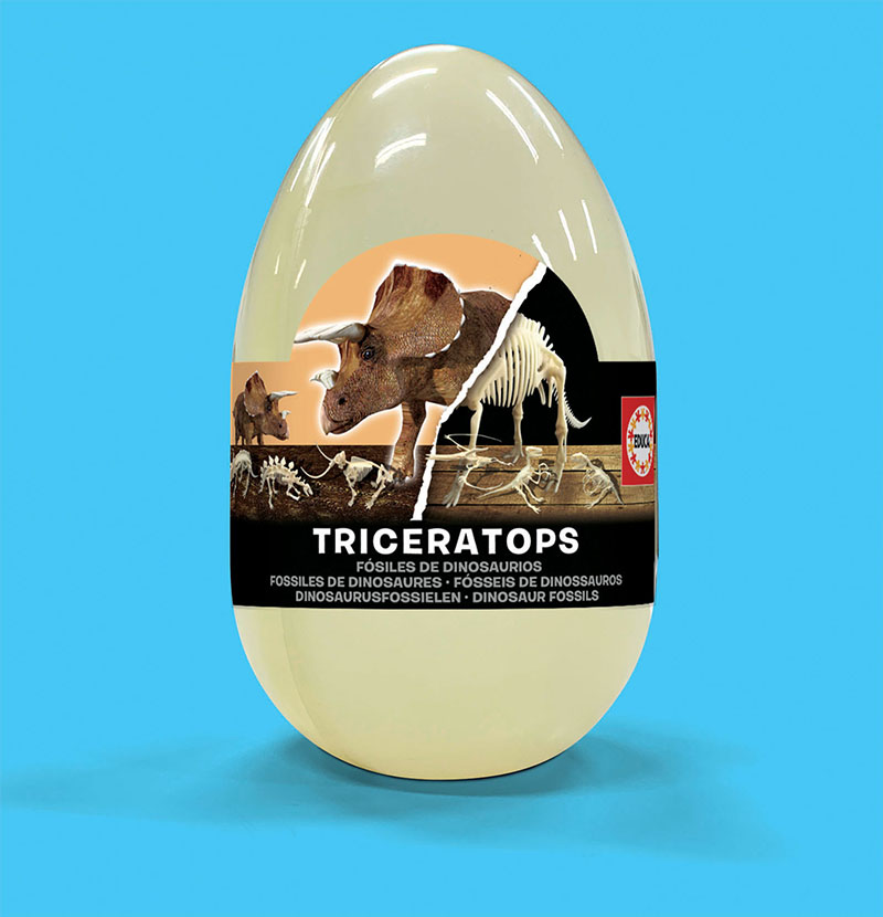 1X Squelette de Triceratops