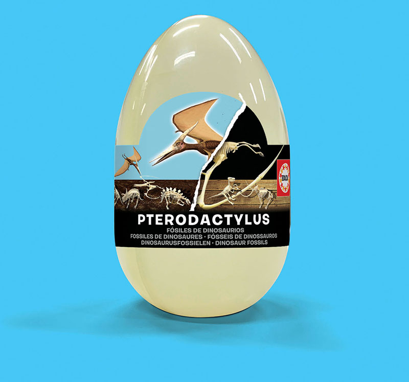 Esqueleto de Pterodactilo