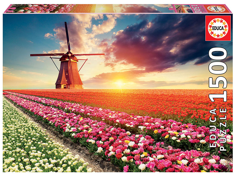 1500 Paisaje de tulipanes