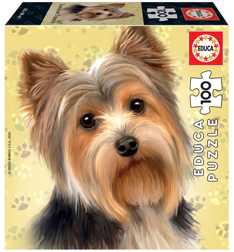100 Yorkshire Terrier