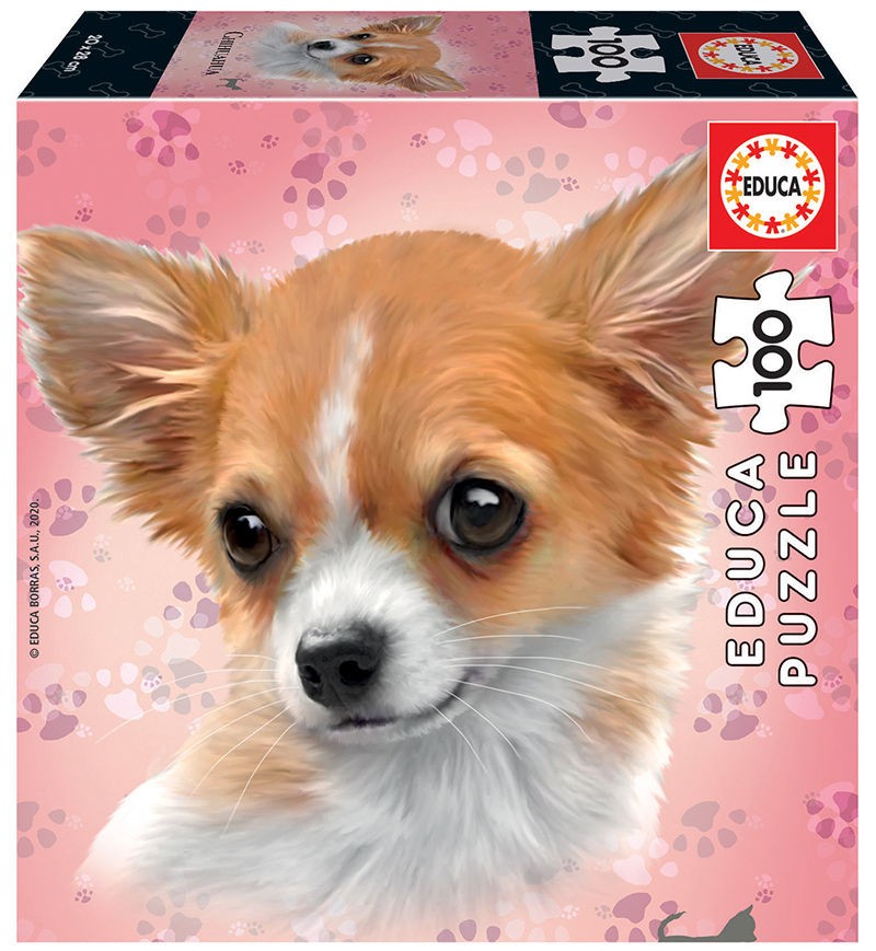 100 Chihuahua
