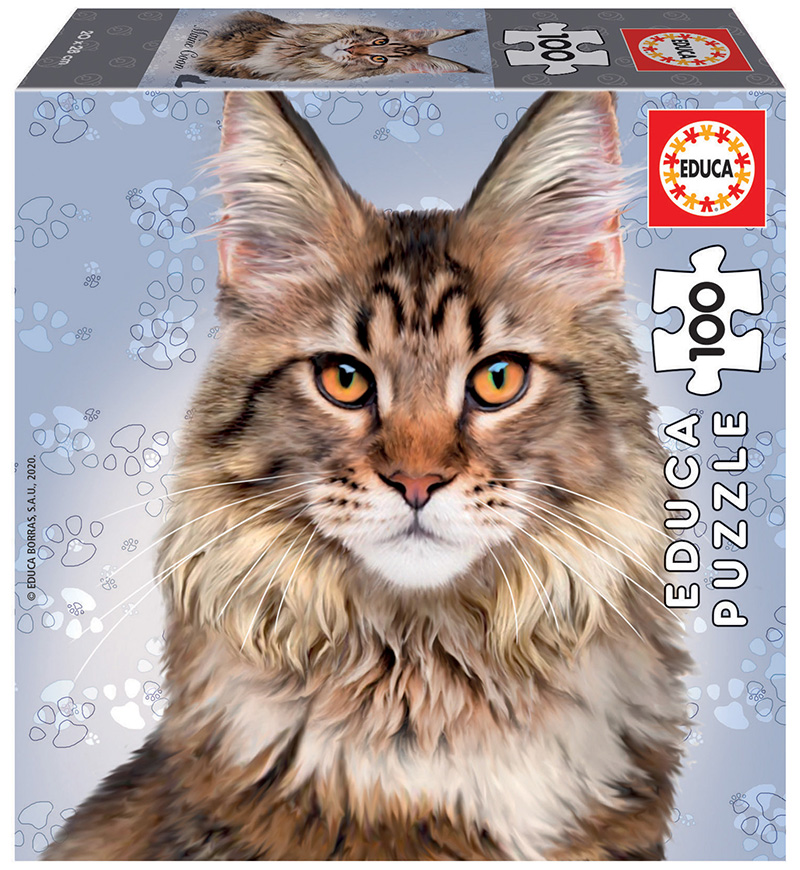 100 Maine Coon
