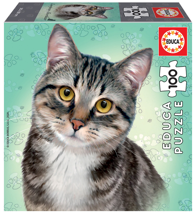 100 European Shorthair