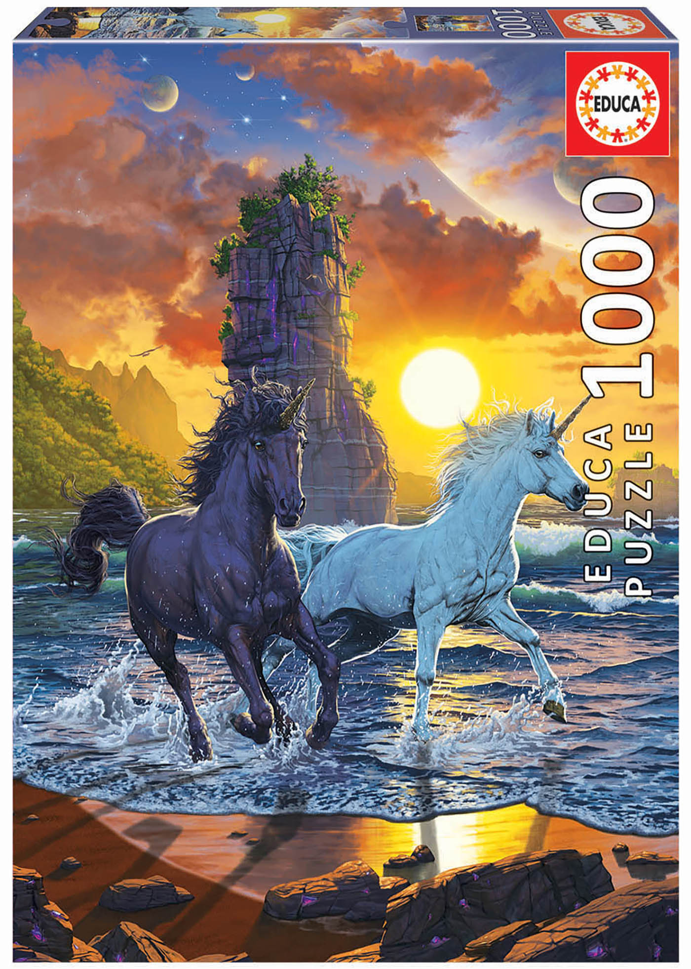 1000 Unicórnios na praia, Vincent Hie